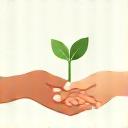 Icona di mani che tengono un germoglio.